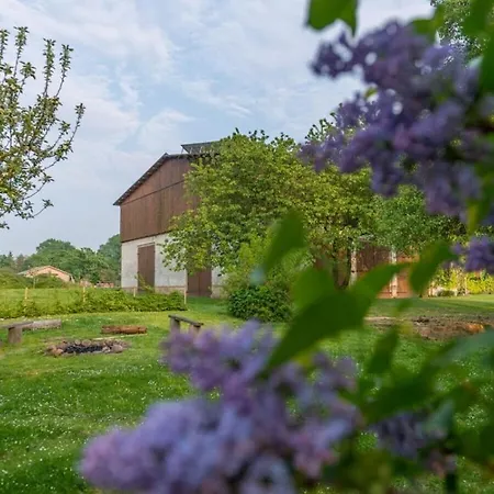 Tarnewitz In The Estate Barn Thorstorf