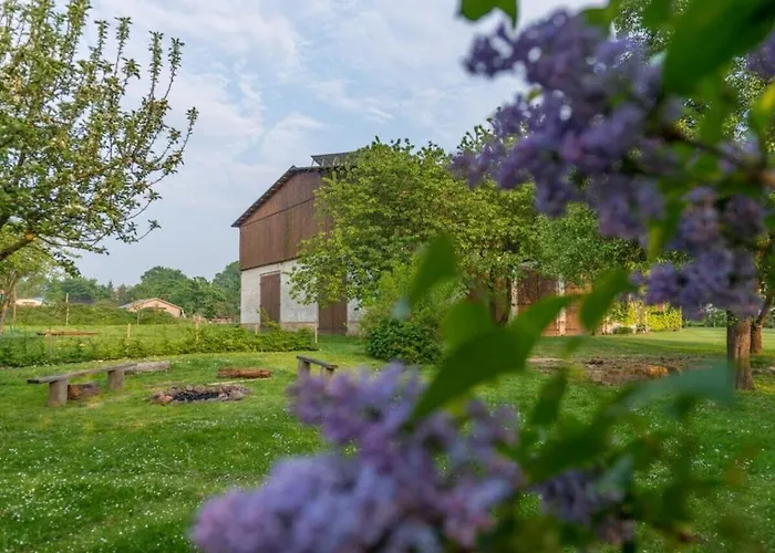 Tarnewitz In The Estate Barn Thorstorf