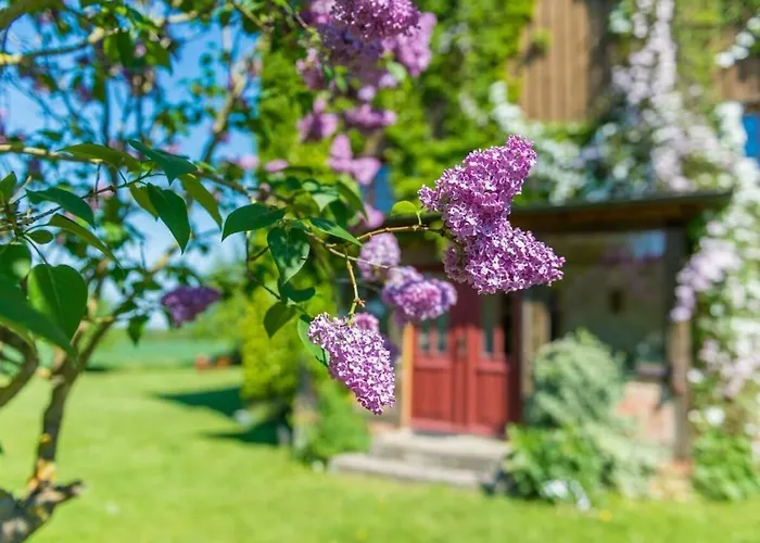 Tarnewitz In The Estate Barn Thorstorf