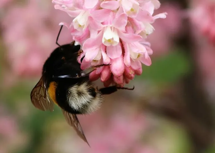 Tarnewitz In The Estate Barn